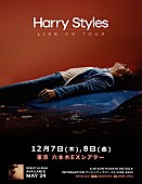 「ハリー・スタイルズ、初のソロ来日公演が2017年12月に開催」1枚目/1