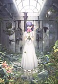 「Aimer、10月公開の劇場版『Fate/stay night [Heaven&amp;#039;s Feel]』主題歌を担当」1枚目/3