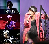 「【情熱大陸ライブ2017】REBECCA/石丸幹二/クリス・ハート/Kの出演決定」1枚目/5