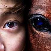 「『メロス』ジャケット写真」6枚目/6