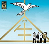 「『関ジャム完全燃SHOW』ウルフルズ登場でトークもセッションも関西弁！ 「関白宣言」大胆アレンジにスタジオ拍手喝采＆名曲共演も」1枚目/1
