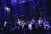 「sumika [camp session]、ビルボードライブでキャンプファイヤー！？　ファンと寄り添うツアー最終日の模様をレポート」1枚目/7