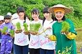 「総選挙中間速報で1位のNGT48・荻野由佳、小林幸子らと田植えに汗流す」1枚目/6