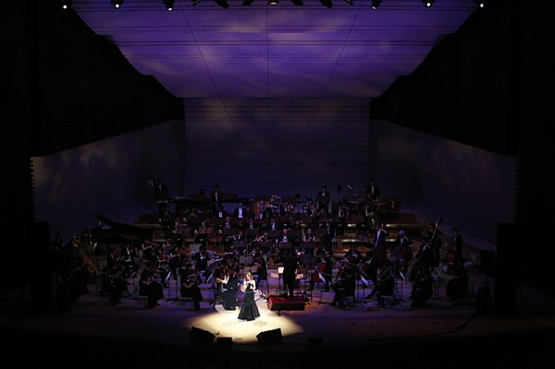 DVD 鈴木康博 「LIVE2007 in Plazasol」