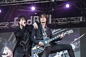 「GLAY 【Red Bull Air Race Chiba 2017】スペシャルライブに5万5000人が熱狂」1枚目/9