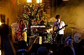 「GLIM SPANKY 初の野外ワンマンライブも大盛況」1枚目/5