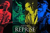 「MONKEY MAJIK、 秋のホールツアー【REPRISE】開催決定」1枚目/4
