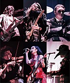 「DECAYS ライブDVDトレーラー公開 予約特典にアナザージャケット」1枚目/1