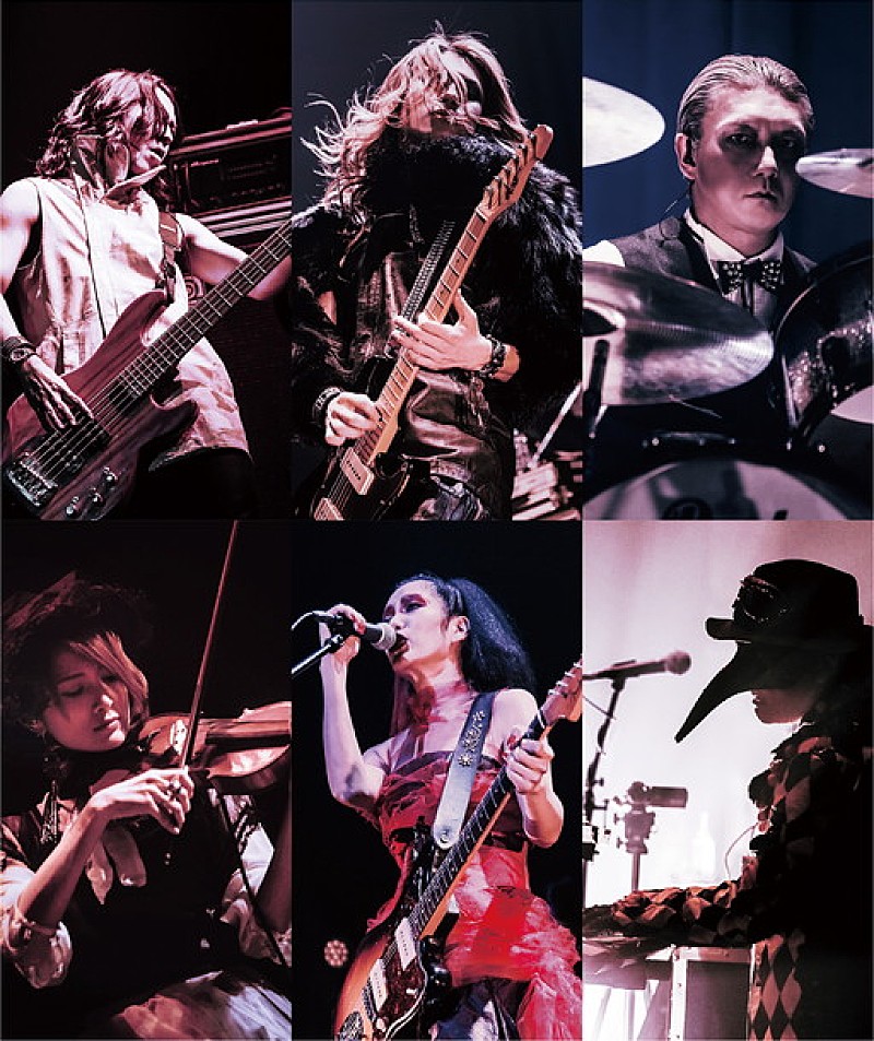 「DECAYS ライブDVDトレーラー公開 予約特典にアナザージャケット」1枚目/1