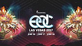 「 【EDC 2017】ティエスト/メジャー・レイザー/カイゴら110組以上のアーティストのライブが生配信」1枚目/1