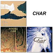 「CHARが立上げたレーベル「江戸屋レコード」の再発売シリーズ第三弾「PINK CLOUD」3タイトル発売」1枚目/3