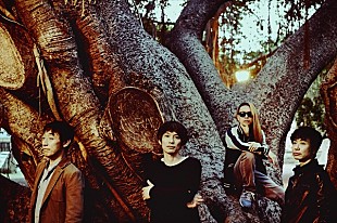 「スピッツ　FM OH!と結成30周年を記念した特別企画が決定」