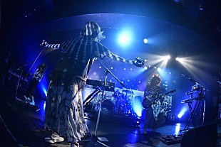 「ねごと 自主企画でCreepy Nutsと対バン！ スピッツカヴァーも初披露」