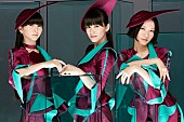 「星野源/スガシカオ/レキシ/マキシマム ザ ホルモンが【Perfume FES!! 2017】出演決定」1枚目/1
