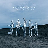 「アルバム『Culture Vulture』
2017/8/30　RELEASE
＜通常盤（CD）＞　VTCL-60454￥2,900円（tax out.）
」3枚目/3