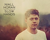 「ナイル・ホーラン(1D)、一夜限りの単独公演が決定」1枚目/2