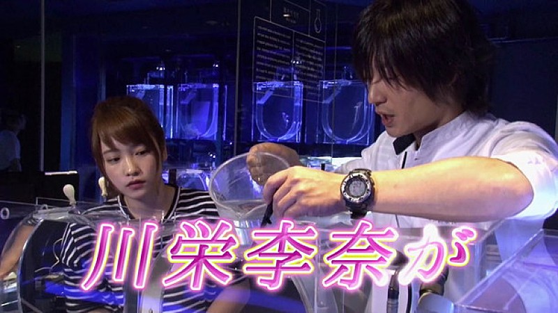 「川栄李奈が水族館の飼育員に！ ペンギンやオットセイとコミュニケーション」1枚目/3