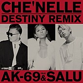 「シェネル×AK-69×SALUによる「Destiny」リミックスが緊急配信」1枚目/1