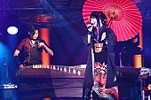 「和楽器バンド、京都・平安神宮で単独奉納ライブを開催」1枚目/4