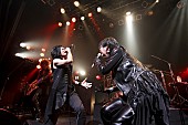 「defspiral、摩天楼オペラとのカップリングツアーを完走&amp;amp;新ALとツアー発表」1枚目/7