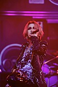 「the GazettE 富士の空に花咲かせ、1万人と創造するイカレた景色！ 美しすぎる15周年の夏」1枚目/13