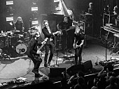 「ザ・ナショナル、最新アルバム全編が披露されたライブ音源が公開」1枚目/1