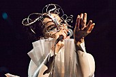 「ビョーク、新曲「ザ・ゲート」が遂に公開」1枚目/1