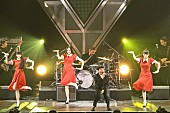 「【Perfume FES!!2017】スガ シカオ/レキシ/星野源/ホルモンが登場！ 総動員数約7万人でフェス閉幕」1枚目/9