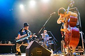 「H ZETTRIO 年内最後のツアー＆Xmasアルバムのリリース決定」1枚目/5