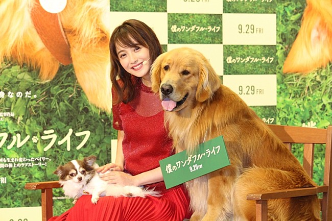 「佐々木希、愛犬との出会いを語る　「ビビッときて、急いでお金を下ろしに…」」1枚目/1