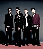 「THE MODS」2枚目/6