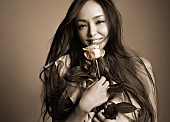 「安室奈美恵 ベストアルバムは未発表の新曲含む全52曲！ 自身最大規模のドームツアー発表も」1枚目/4