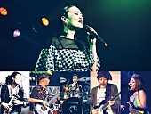 「PUSHIM、東阪ビルボードライブにてイヤーエンドライブの開催が決定」1枚目/1