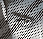 「『SAMURAI SESSIONS vol.2』初回盤」2枚目/2