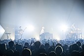 「WEAVER、“9年目の決意”全国ツアー【A/W TOUR 2017】が開幕」1枚目/3