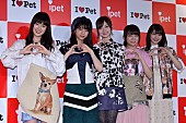 「乃木坂４６、共演の犬猫にメロメロ　秋元真夏、初の東京ド－ム公演は「一区切りの集大成」」1枚目/1