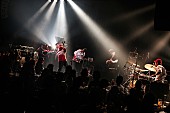 「今話題沸騰のエクスペリメンタル・ソウルバンド、WONKがBillboard Live OSAKAに初登場！」1枚目/13