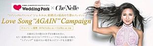 「シェネル「夫婦は互いを尊重し、支えあっていくもの」ウエディングパークのコラボ企画ラブソングで応援」