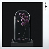 「warbear（元Galileo Galilei尾崎雄貴）1stALのジャケ写＆収録曲が明らかに」1枚目/2