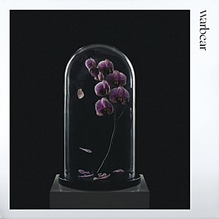 「warbear（元Galileo Galilei尾崎雄貴）1stALのジャケ写＆収録曲が明らかに」