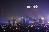 「DISH//」12枚目/25