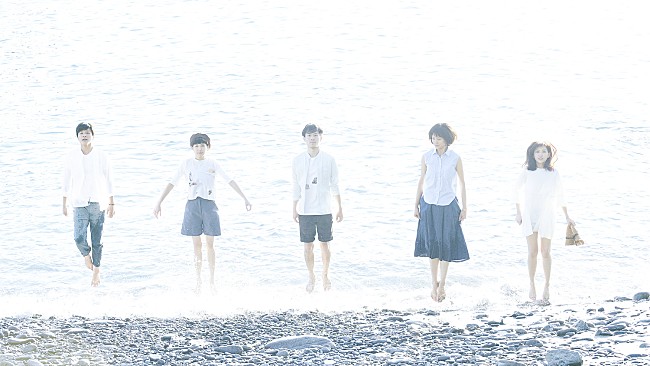 「Cicada、最新AL『White Forest』をいよいよリリース」1枚目/2