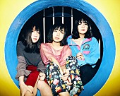「赤い公園 新体制の初ワンマンは全部新曲で！ 2018年1/4立川BABELにて開催」1枚目/1