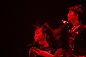 「BABYMETAL、20歳を迎えるSU-METALの聖地・広島で凱旋ライブ開催」1枚目/7