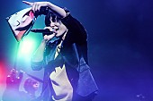 「flumpool、活動休止前最後の【flumpool 8th tour 2017 「Re:image」】で声が涸れても唄った想い」1枚目/14