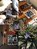 「LILI LIMIT 新作EP『LIB EP』2018年リリース！ 自主企画にLUCKY TAPES/向井太一」1枚目/10