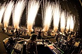 「MAN WITH A MISSION「自信があるのは素肌だけ？」桃井かおり友情出演！ 【Dog Days Tour 2017】さいたまスーパーアリーナ2days完遂!! ロンドン単独公演追加発表も」1枚目/11