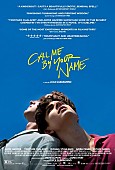 「映画『Call Me By Your Name』（原題)、GG賞主要3部門にノミネート　アカデミー賞大本命へ前進」1枚目/1
