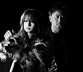 「Do As Infinity、全曲澤野弘之サウンドプロデュースの新ALリリース決定」1枚目/1