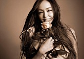 「【ビルボード】安室奈美恵「Hero」DLソング＆ストリーミング制す、米津玄師DLアルバム首位返り咲き」1枚目/1